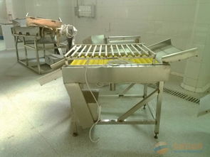 廣州黃埔區(qū)廢舊食品廠設(shè)備專業(yè)回收指南