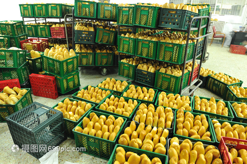 包烘焙食品廠 匠心獨運，新鮮直供