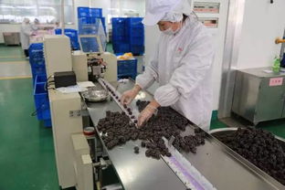 松江崛起食品產業巨擘 年銷售額破50億的“隱形冠軍”揭秘
