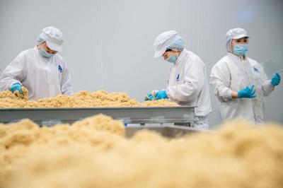 食品車間生產(chǎn)忙，品質(zhì)安全鑄輝煌