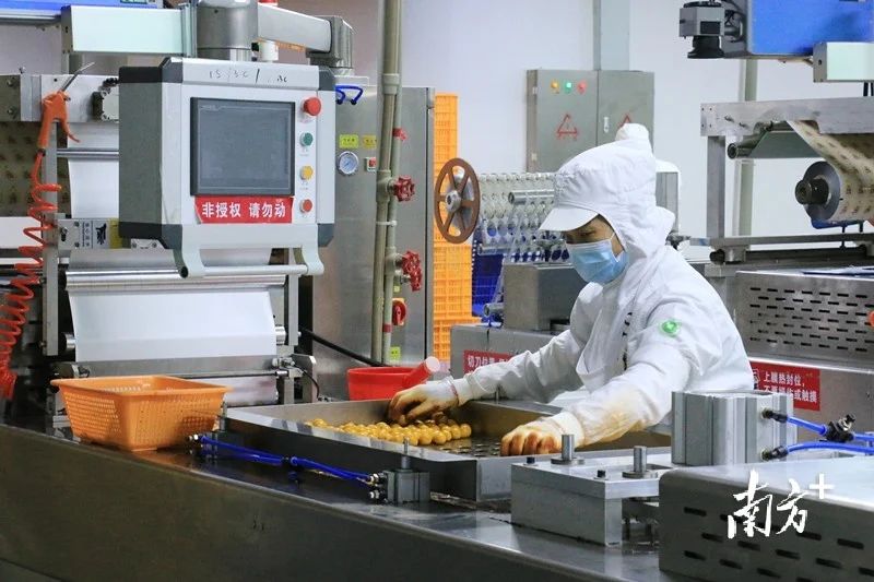 潮聲回響丨期待潮州輸出更多食品工業(yè)發(fā)展經(jīng)驗(yàn)